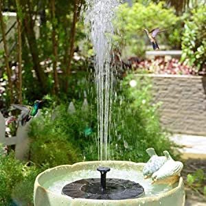 Water Fountain